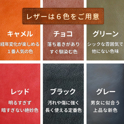 ６色の革色